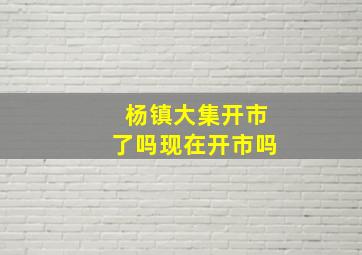 杨镇大集开市了吗现在开市吗