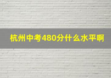 杭州中考480分什么水平啊