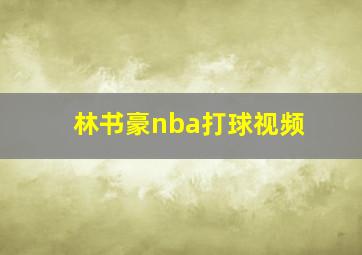 林书豪nba打球视频