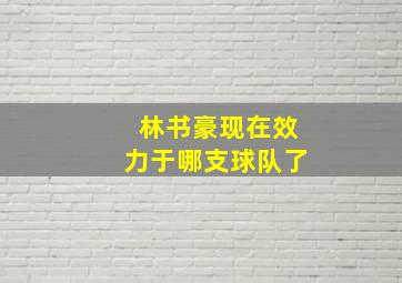 林书豪现在效力于哪支球队了