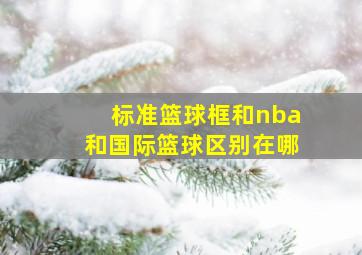 标准篮球框和nba和国际篮球区别在哪