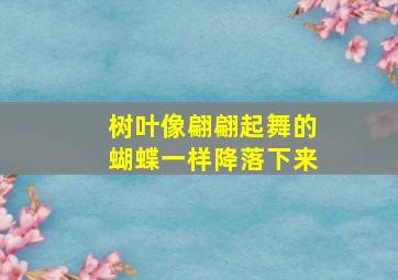 树叶像翩翩起舞的蝴蝶一样降落下来