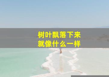 树叶飘落下来就像什么一样