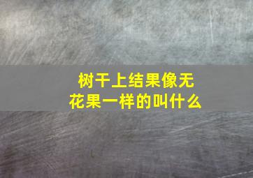 树干上结果像无花果一样的叫什么