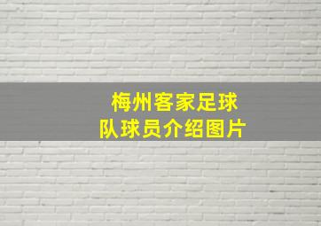 梅州客家足球队球员介绍图片