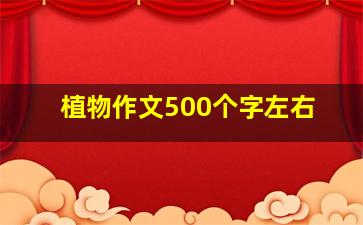 植物作文500个字左右