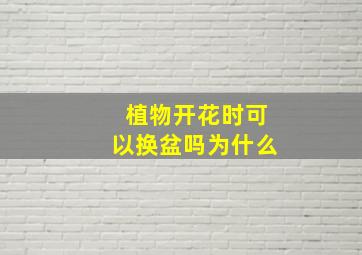 植物开花时可以换盆吗为什么