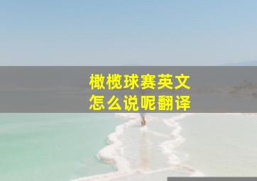 橄榄球赛英文怎么说呢翻译