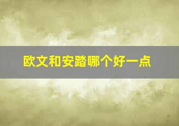 欧文和安踏哪个好一点