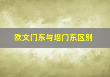 欧文门东与培门东区别