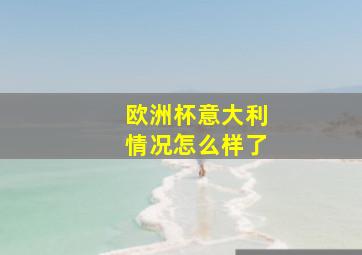 欧洲杯意大利情况怎么样了