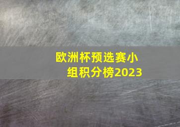 欧洲杯预选赛小组积分榜2023