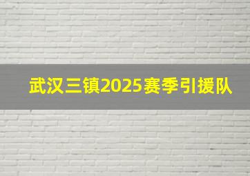 武汉三镇2025赛季引援队