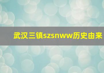 武汉三镇szsnww历史由来