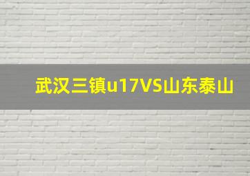 武汉三镇u17VS山东泰山