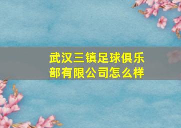 武汉三镇足球俱乐部有限公司怎么样