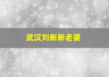 武汉刘新新老婆