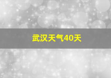 武汉天气40天