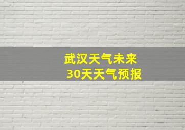 武汉天气未来30天天气预报