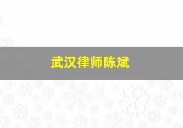 武汉律师陈斌