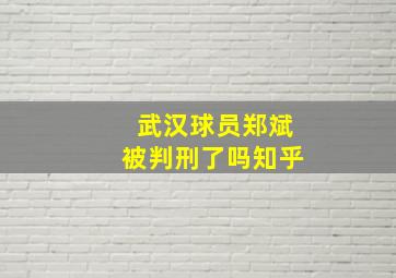 武汉球员郑斌被判刑了吗知乎