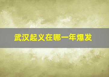 武汉起义在哪一年爆发