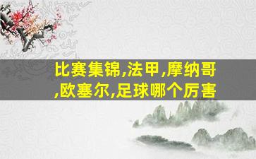 比赛集锦,法甲,摩纳哥,欧塞尔,足球哪个厉害