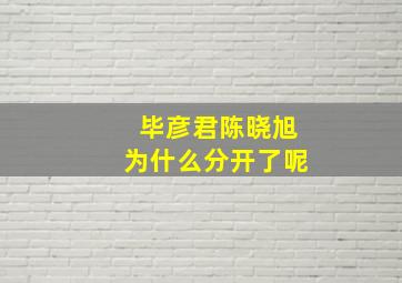 毕彦君陈晓旭为什么分开了呢