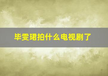 毕雯珺拍什么电视剧了