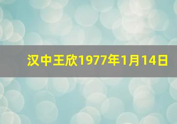 汉中王欣1977年1月14日