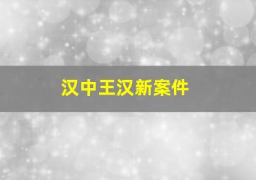 汉中王汉新案件