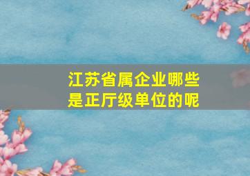 江苏省属企业哪些是正厅级单位的呢