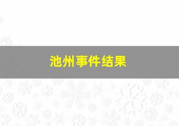 池州事件结果