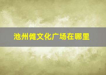 池州傩文化广场在哪里