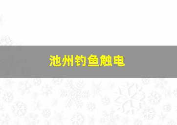 池州钓鱼触电