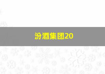 汾酒集团20