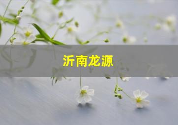 沂南龙源