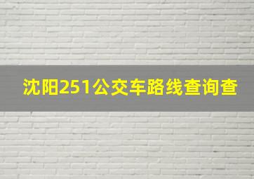 沈阳251公交车路线查询查