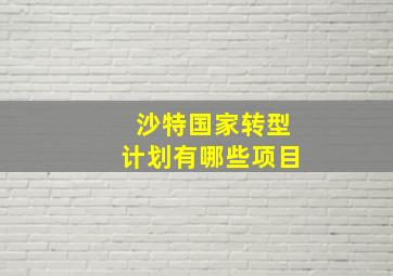 沙特国家转型计划有哪些项目