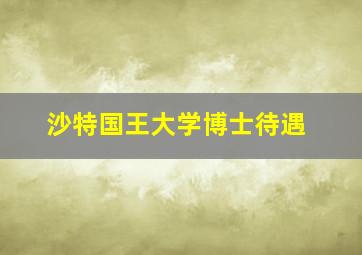 沙特国王大学博士待遇