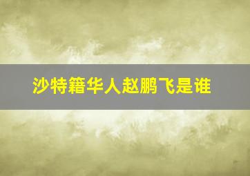 沙特籍华人赵鹏飞是谁