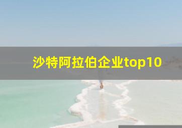 沙特阿拉伯企业top10