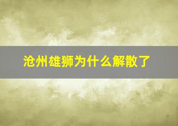 沧州雄狮为什么解散了