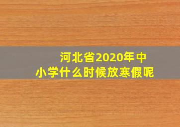 河北省2020年中小学什么时候放寒假呢