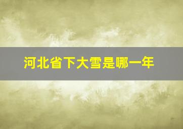 河北省下大雪是哪一年