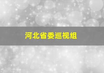 河北省委巡视组