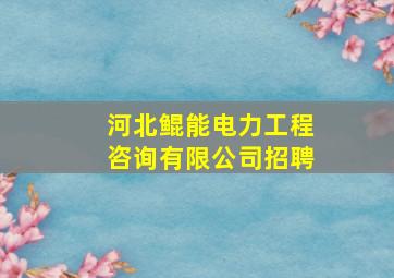 河北鲲能电力工程咨询有限公司招聘