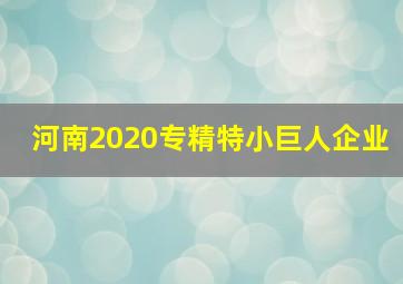 河南2020专精特小巨人企业