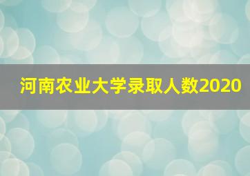 河南农业大学录取人数2020