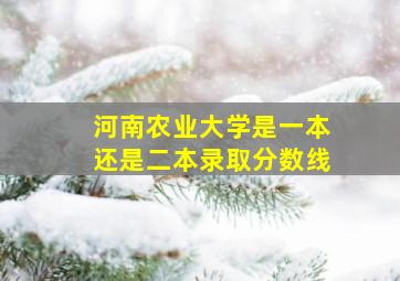 河南农业大学是一本还是二本录取分数线